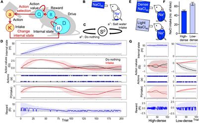 Computational Mechanisms of Osmoregulation: A Reinforcement Learning Model for Sodium Appetite